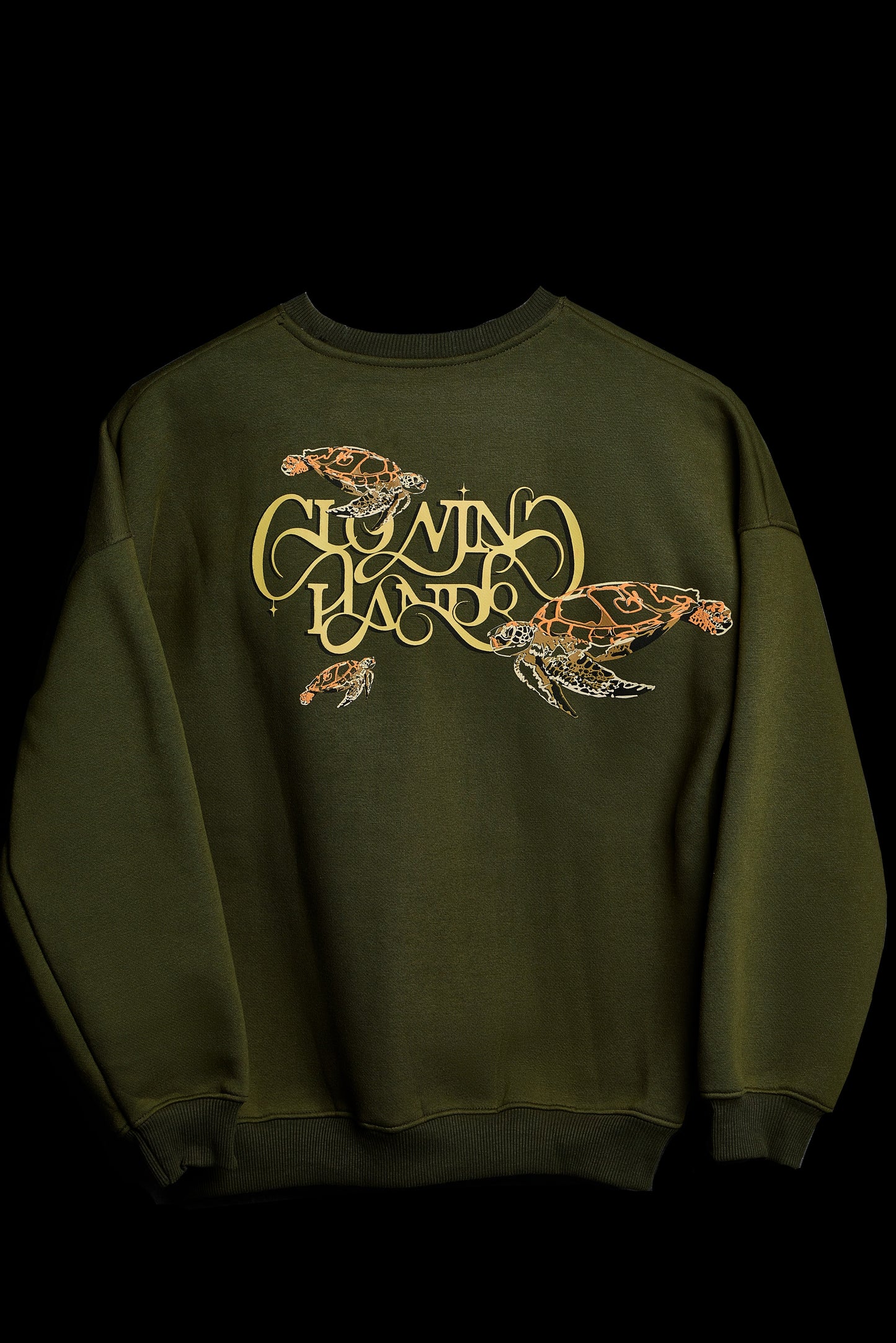 Olive Turtle Kids' Sweatshirt